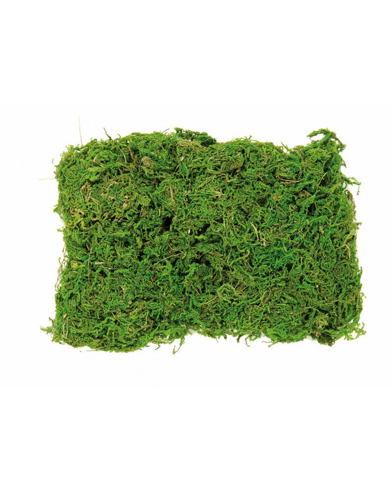 Moos Beutel 50g