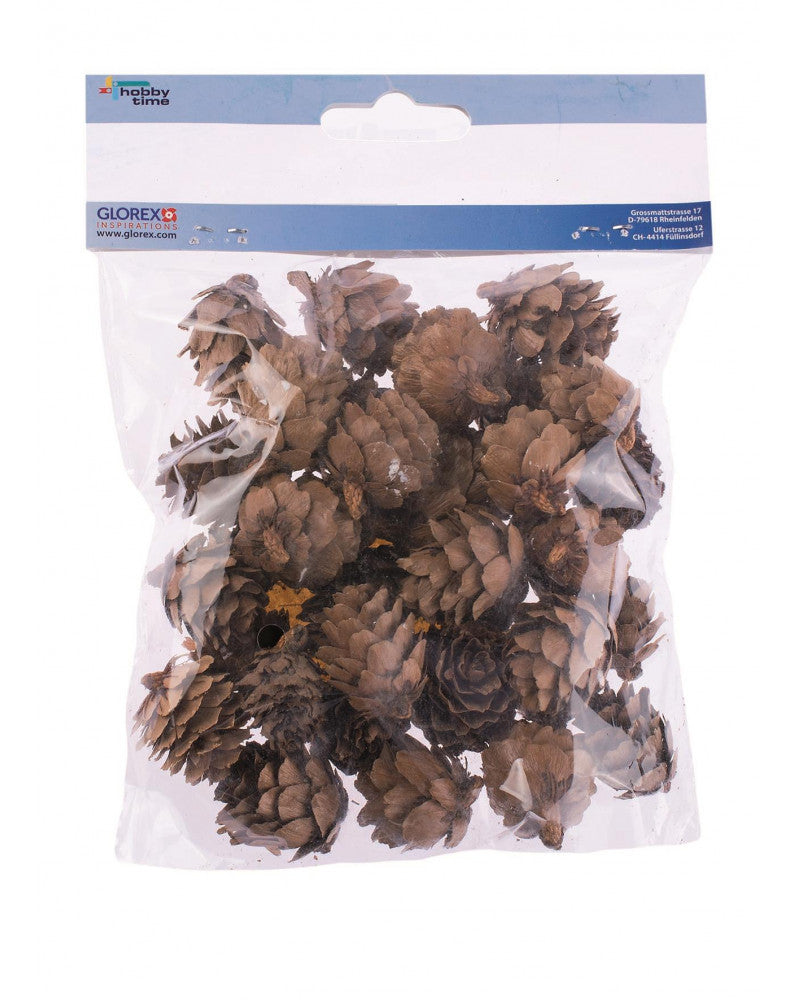 Tannenzapfen klein 60g 2-3cm