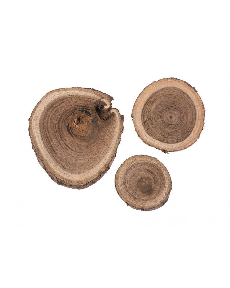Robinienholz Scheiben 80g 3-6cm