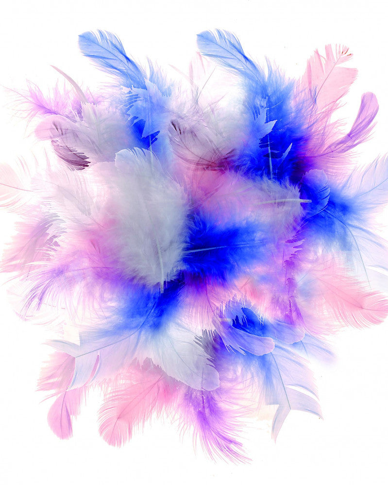 Deco-Federn pastell Mix 2g