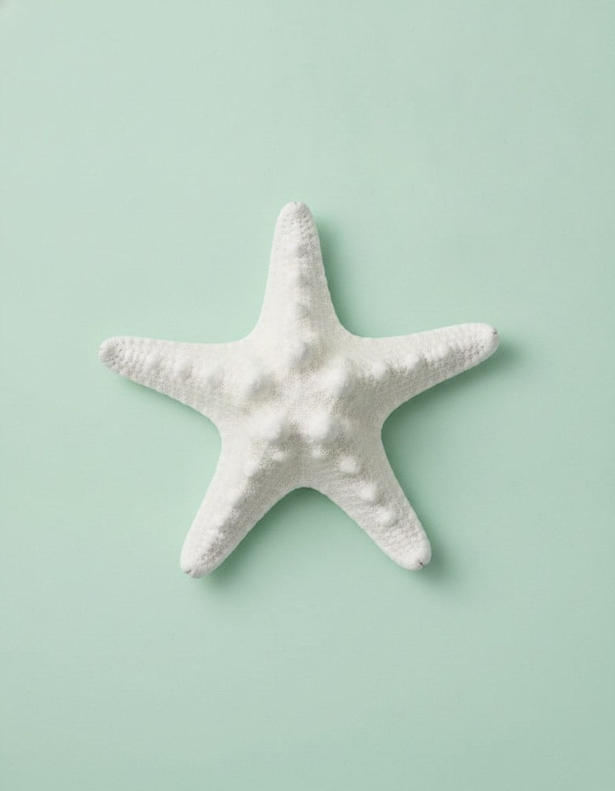 Giessform Seesterne 7,5 / 10cm - Kidis Art