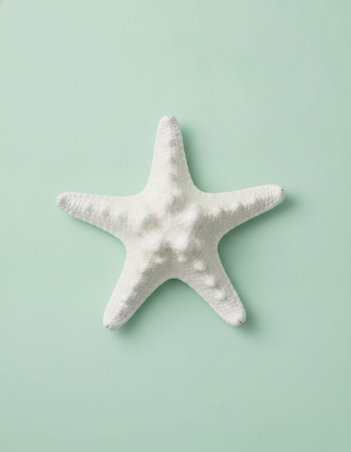 Giessform Seesterne 7,5 / 10cm - Kidis Art