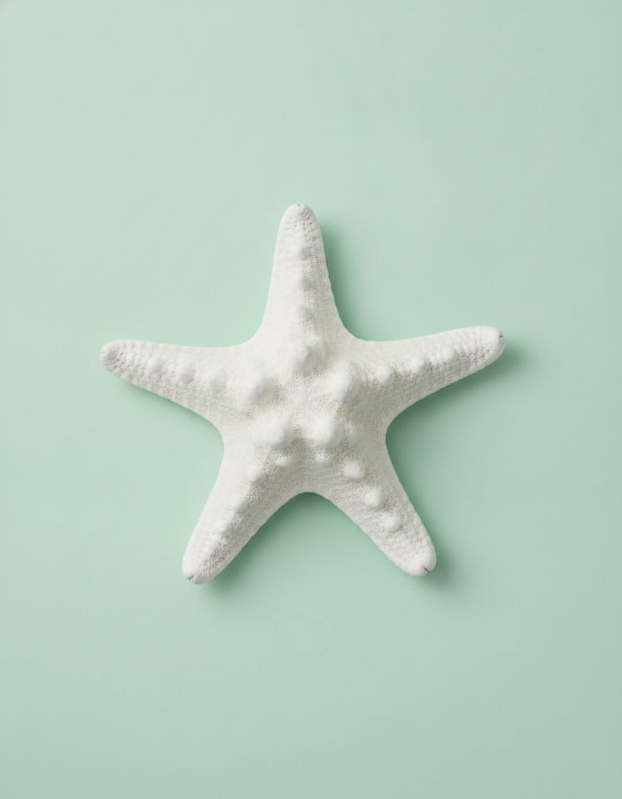 Giessform Seesterne 7,5 / 10cm - Kidis Art