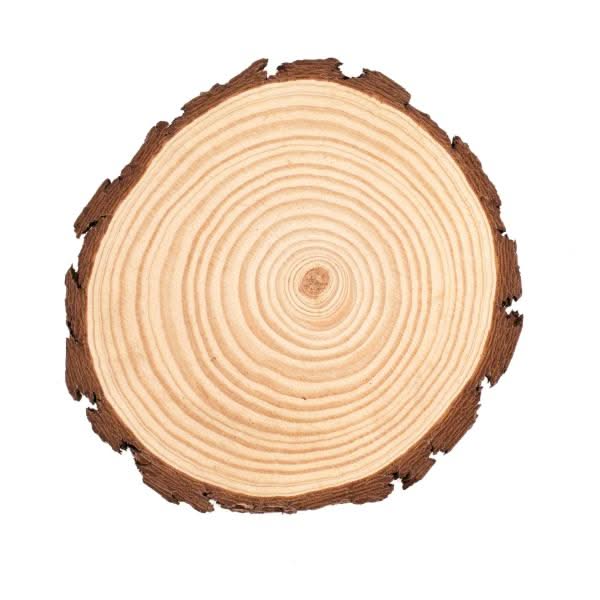 FSC Kiefernholz Holzscheibe 20-22cm mit Jahresringen und Rinde für Dekoration
