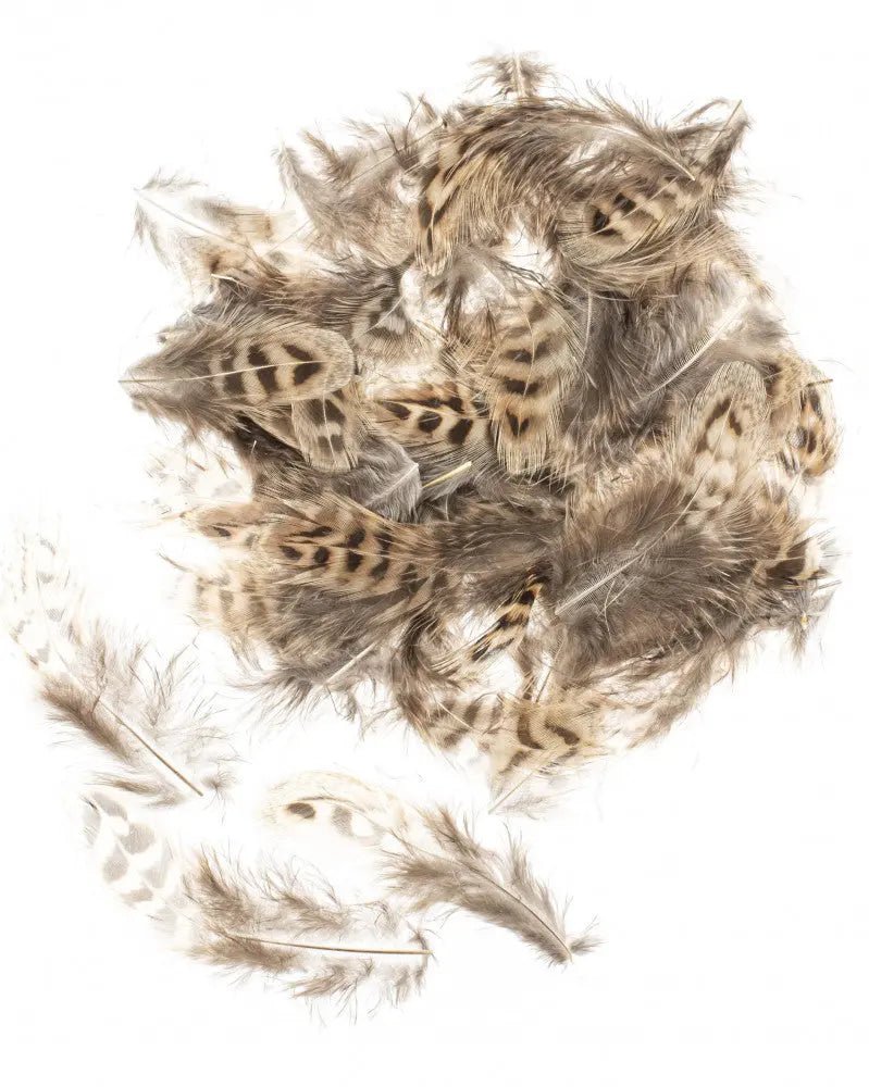 Hühnerfedern 5 - 12cm 10g - Kidis Art