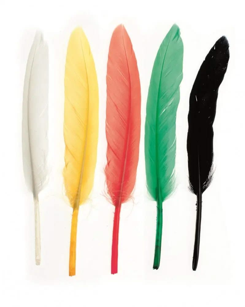Indianerfeder 13cm ca.15St mix - Kidis Art