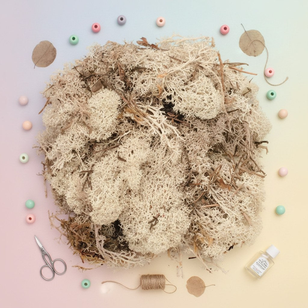 Islandmoos natur 50g - Kidis Art