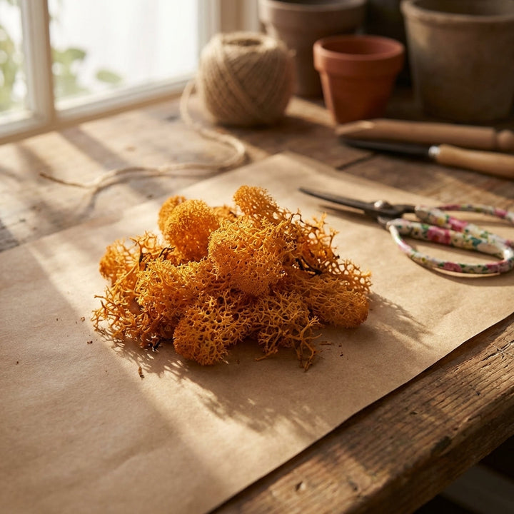 Full scene of Islandmoos orange moss in a cozy craft workspace, spilled on kraft paper with crafting tools nearby, lit naturally.