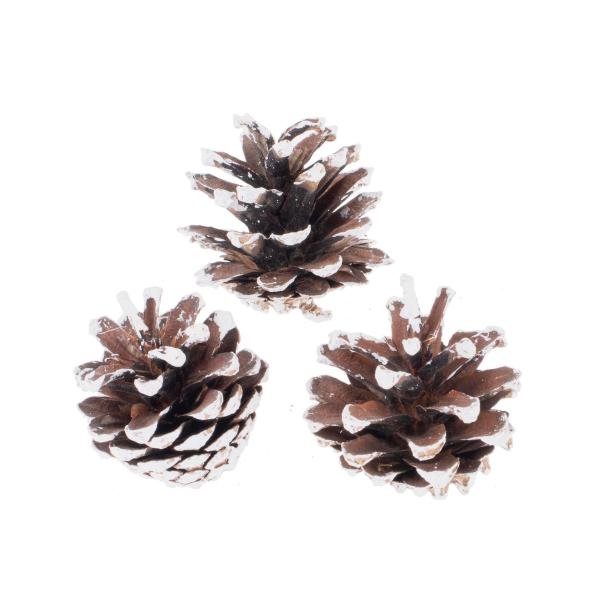 Kieferzapfen mix, washed 3 - 5cm, 150g - Kidis Art