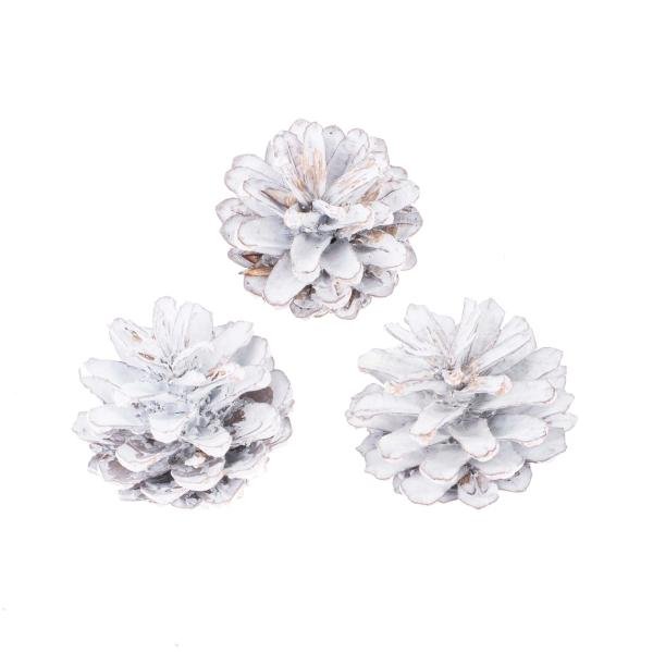Kieferzapfen mix, weiss 3 - 5cm, 150g - Kidis Art