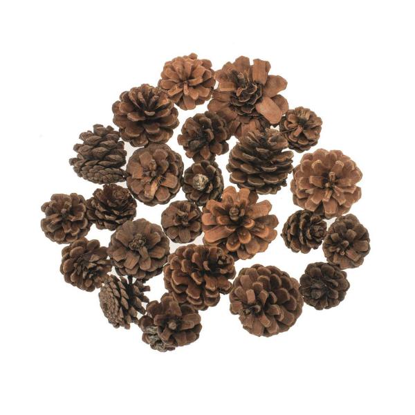 Kieferzapfen, sortiert,2,5 - 5cm 100g - Kidis Art
