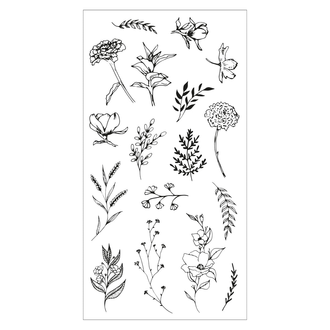 Klarsichtstempel 17 Stück Garten-Botanik by Lisa Jones - Kidis Art