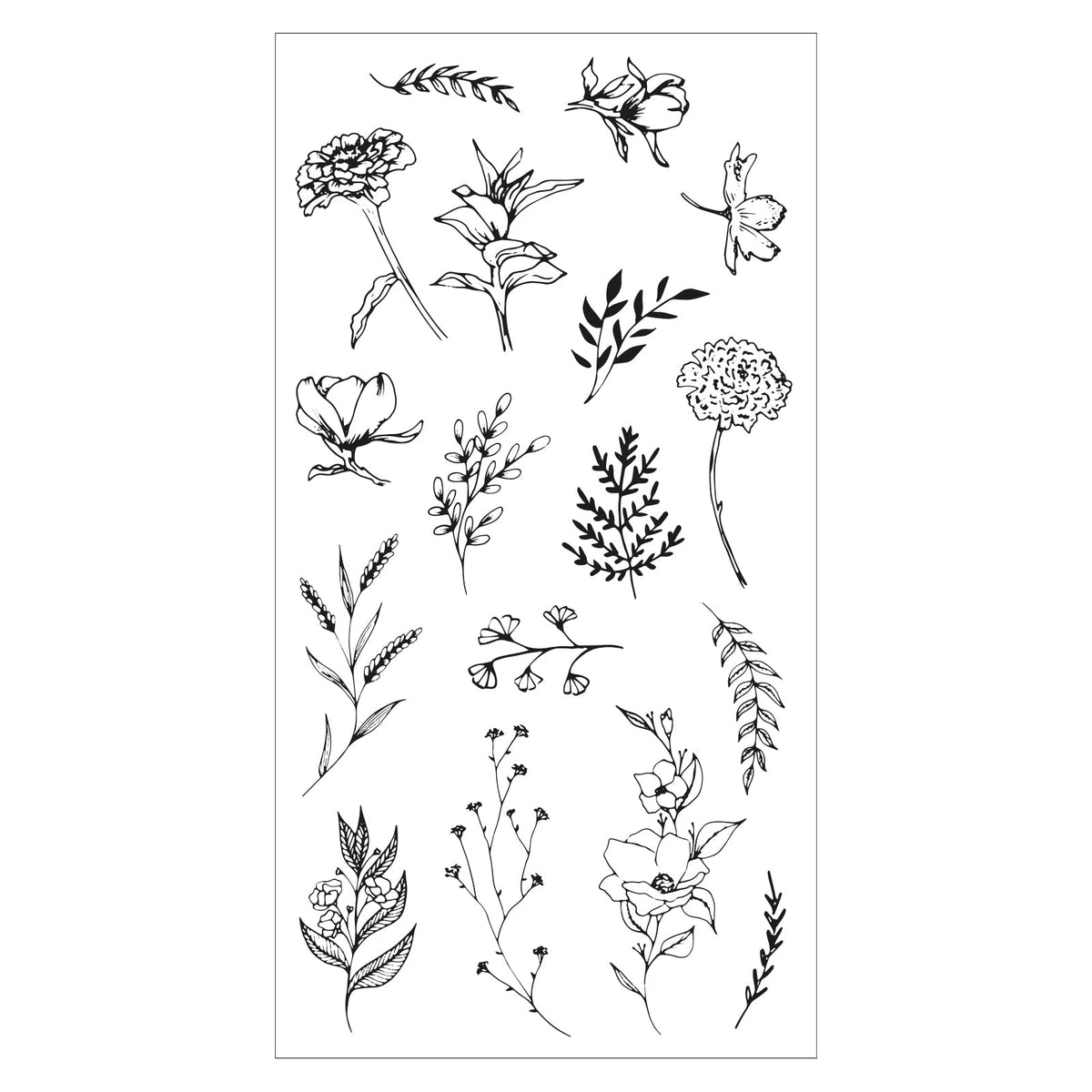 Klarsichtstempel 17 Stück Garten-Botanik by Lisa Jones - Kidis Art