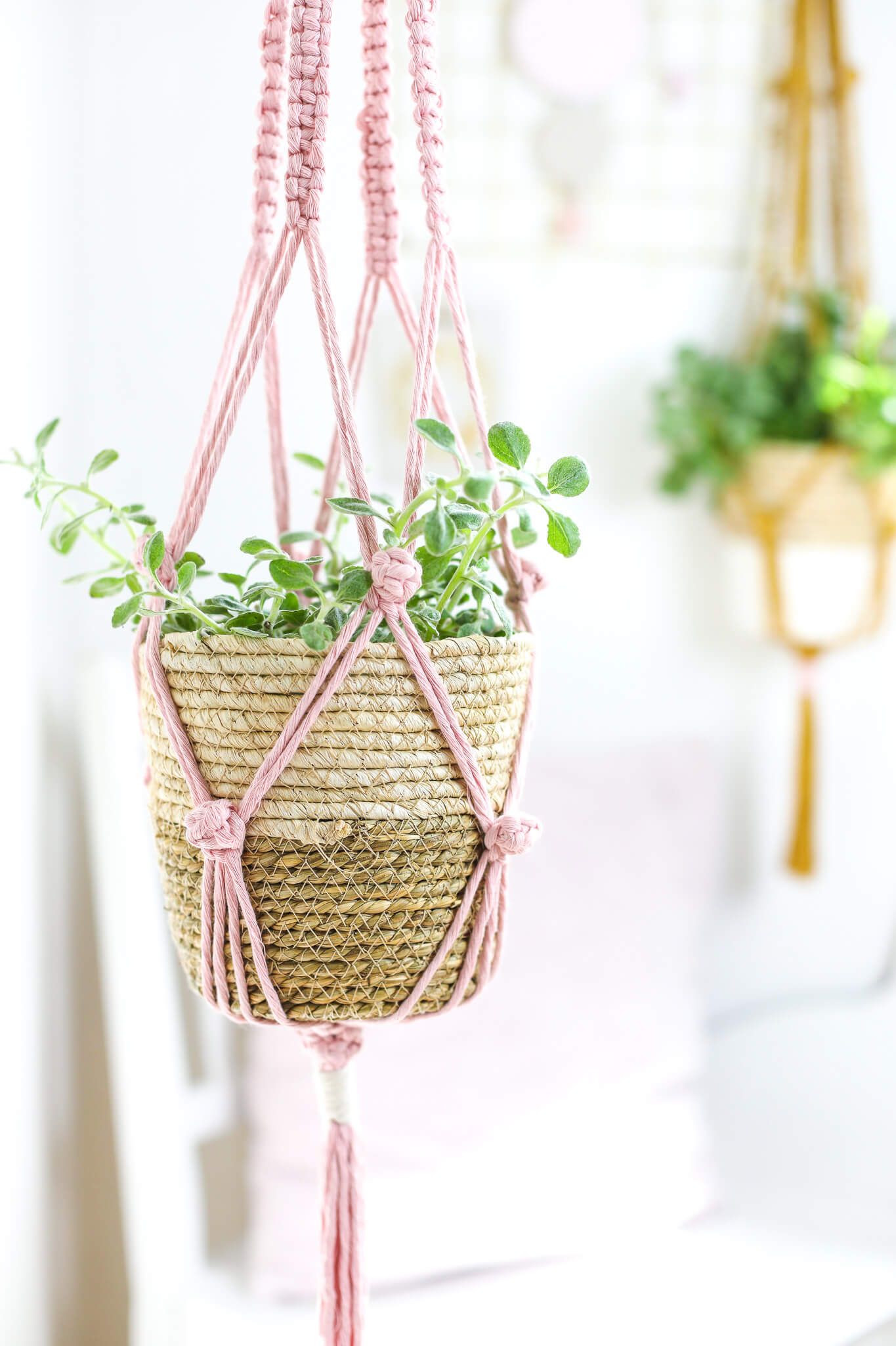 Makramee Cord 3mm 250g, gewebt, creme - Kidis Art