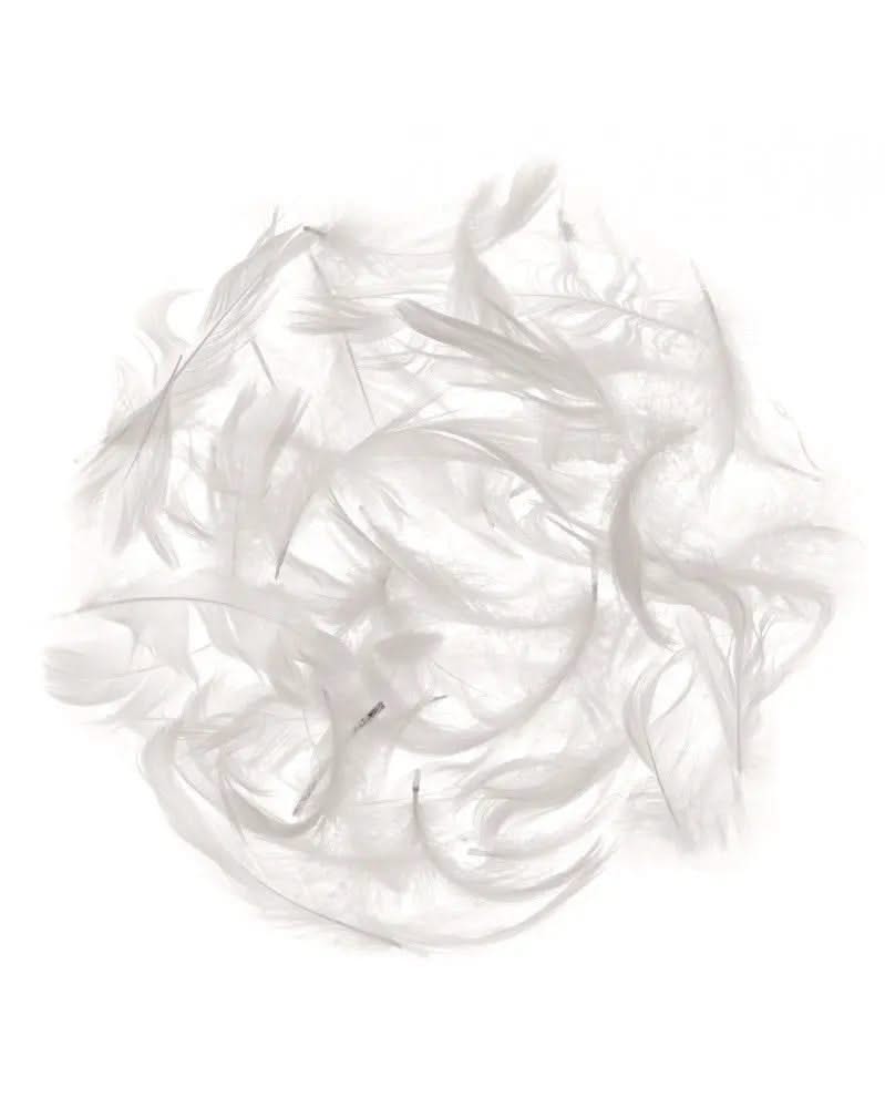 Marabufedern ca. 10g weiss - Kidis Art