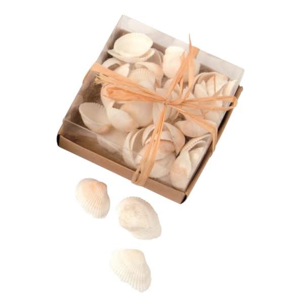 Muschelmix 100g - Kidis Art