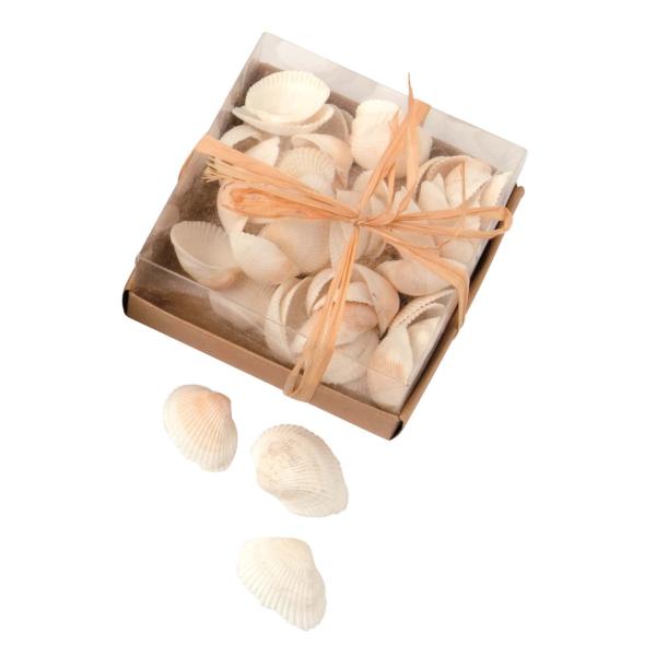 Muschelmix 100g - Kidis Art