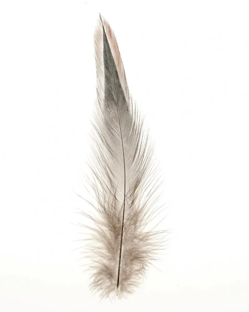 Naturfedern ca. 15St braun - Kidis Art