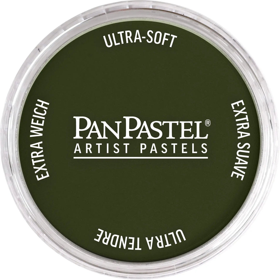 PanPastel 660,3 Chromoxidgrun Dunkel - Kidis Art