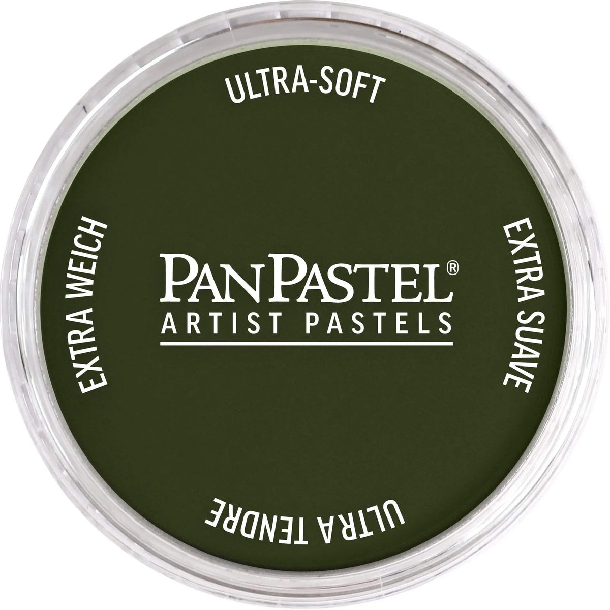 PanPastel 660,3 Chromoxidgrun Dunkel - Kidis Art