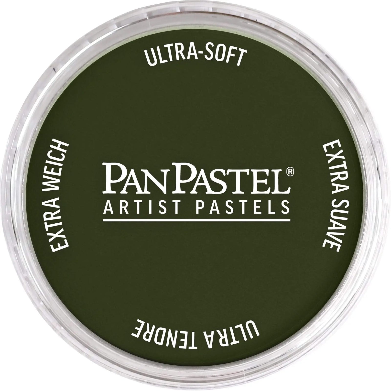PanPastel 660,3 Chromoxidgrun Dunkel - Kidis Art