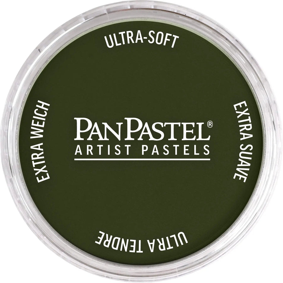 PanPastel 660,3 Chromoxidgrun Dunkel - Kidis Art