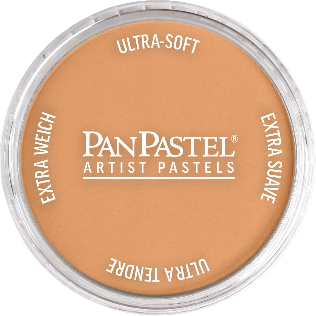 PanPastel 930.5 Bronze - Kidis Art