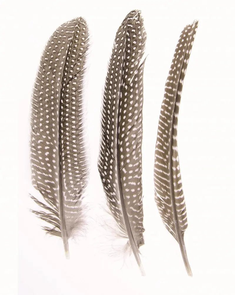 Perlhuhn Feder 2g 16 - 19cm - Kidis Art