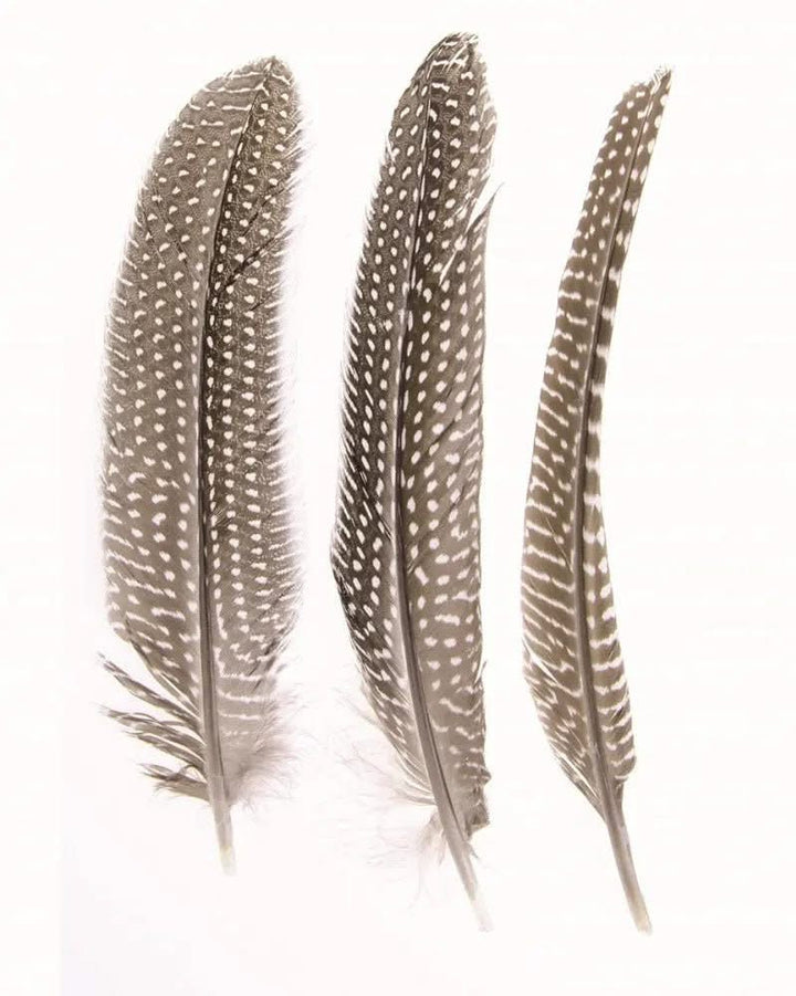 Perlhuhn Feder 2g 16-19cm - Kidis Art