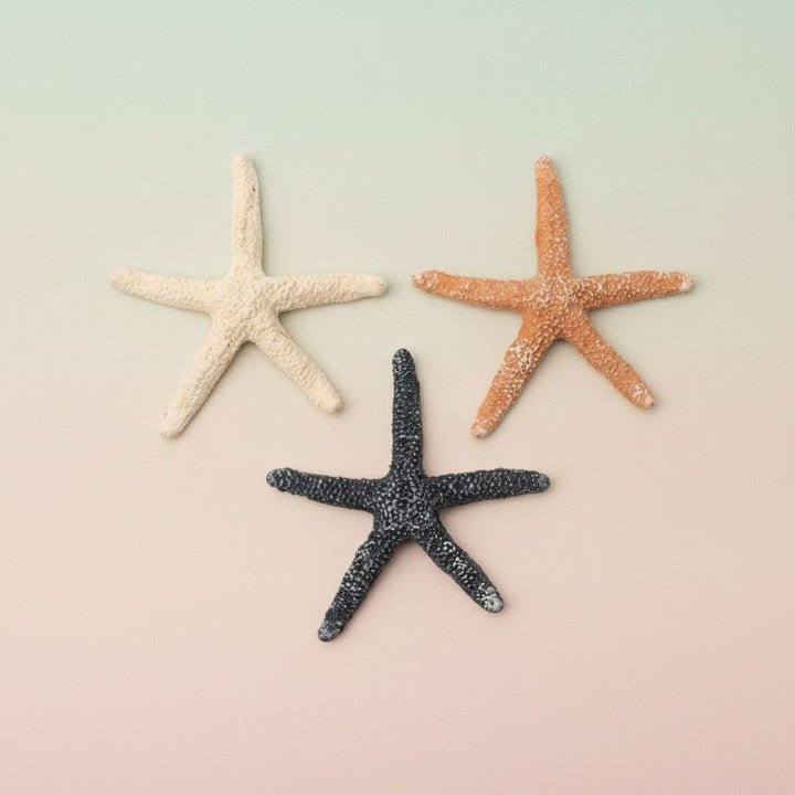 Seesterne Polyresin, mix 6x6x0,7cm, 3St/ SB - Kidis Art