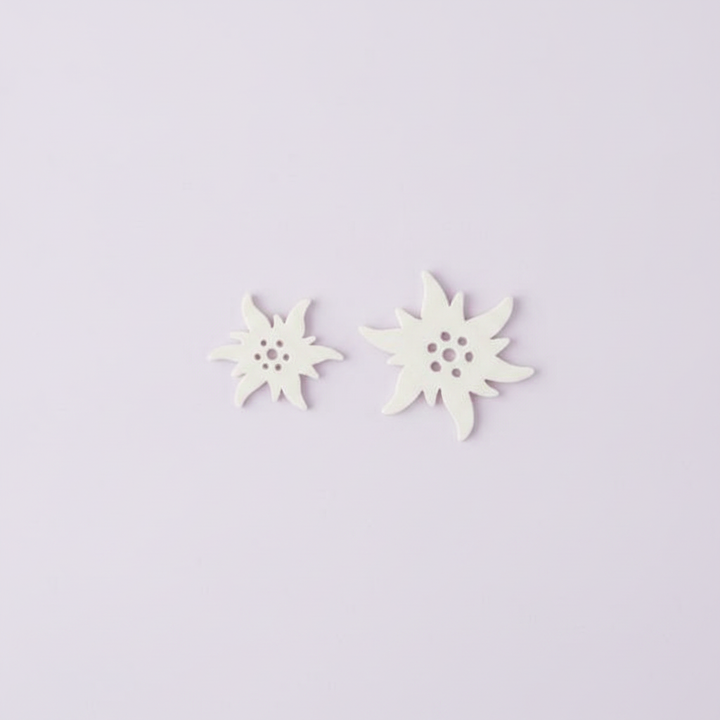Streuteile Edelweiss 3-4cm Holz, weiss, 10St. FSC - Kidis Art
