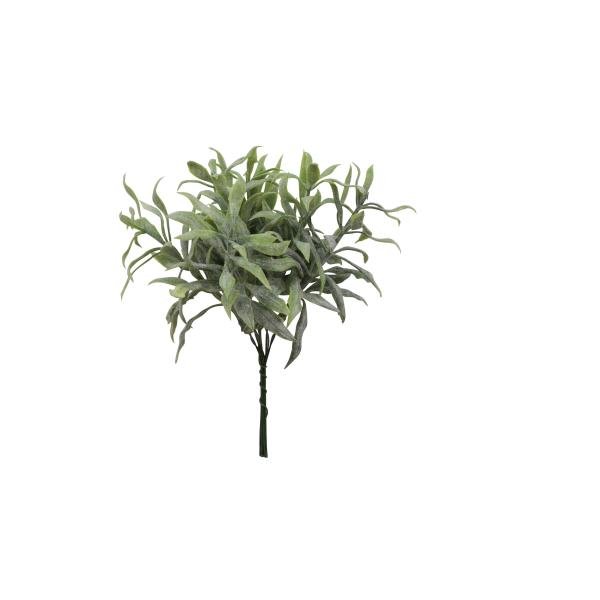 Thymianzweig, grün, 16cm - Kidis Art