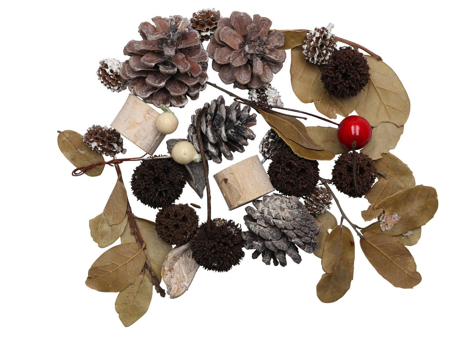 Zapfen-Mix Set 1, 70g mit Beere - Kidis Art